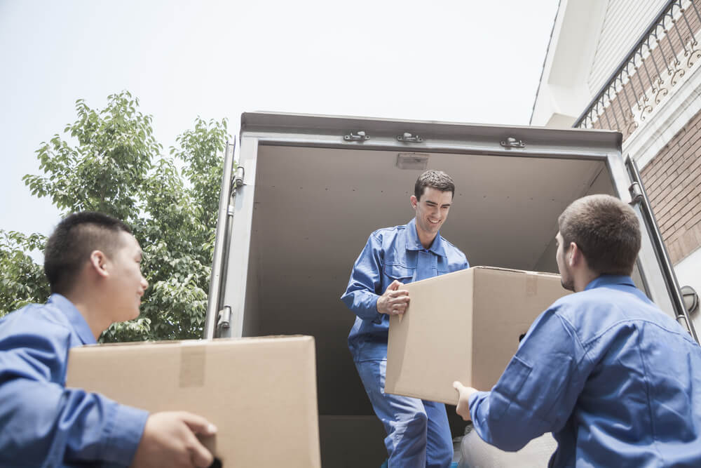 Tallevast Movers Customer Service